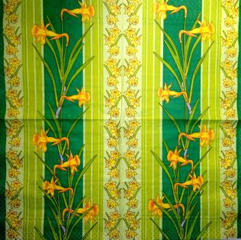 104 Narzissen - 3 lagig